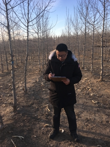 吉林省西部沙地杨树无性系引种研究与示范